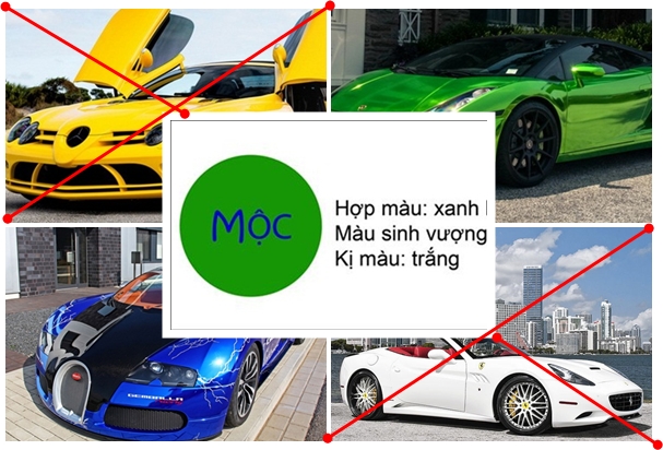 Mạng Mộc hợp xe màu gì?